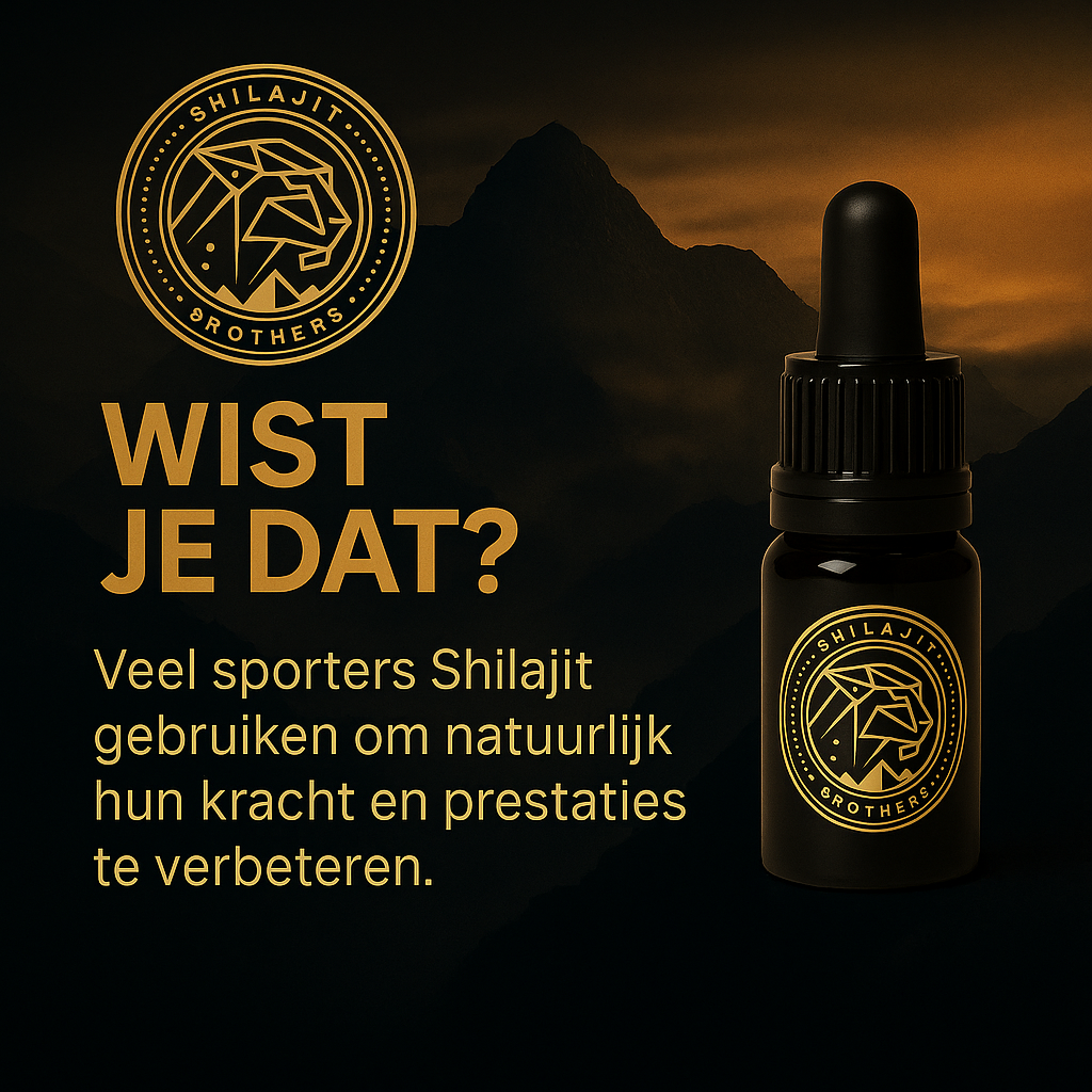 Shilajit bestellen bij Shilajit Brothers: het krachtige natuurproduct voor meer energie en focus