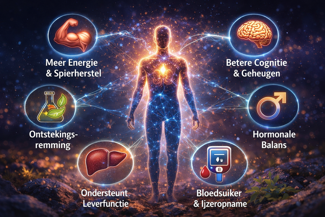 Wat is Shilajit en wat zijn de bewezen voordelen? Een wetenschappelijke uitleg