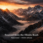 Flesje Shilajit I Shilajit Brothers