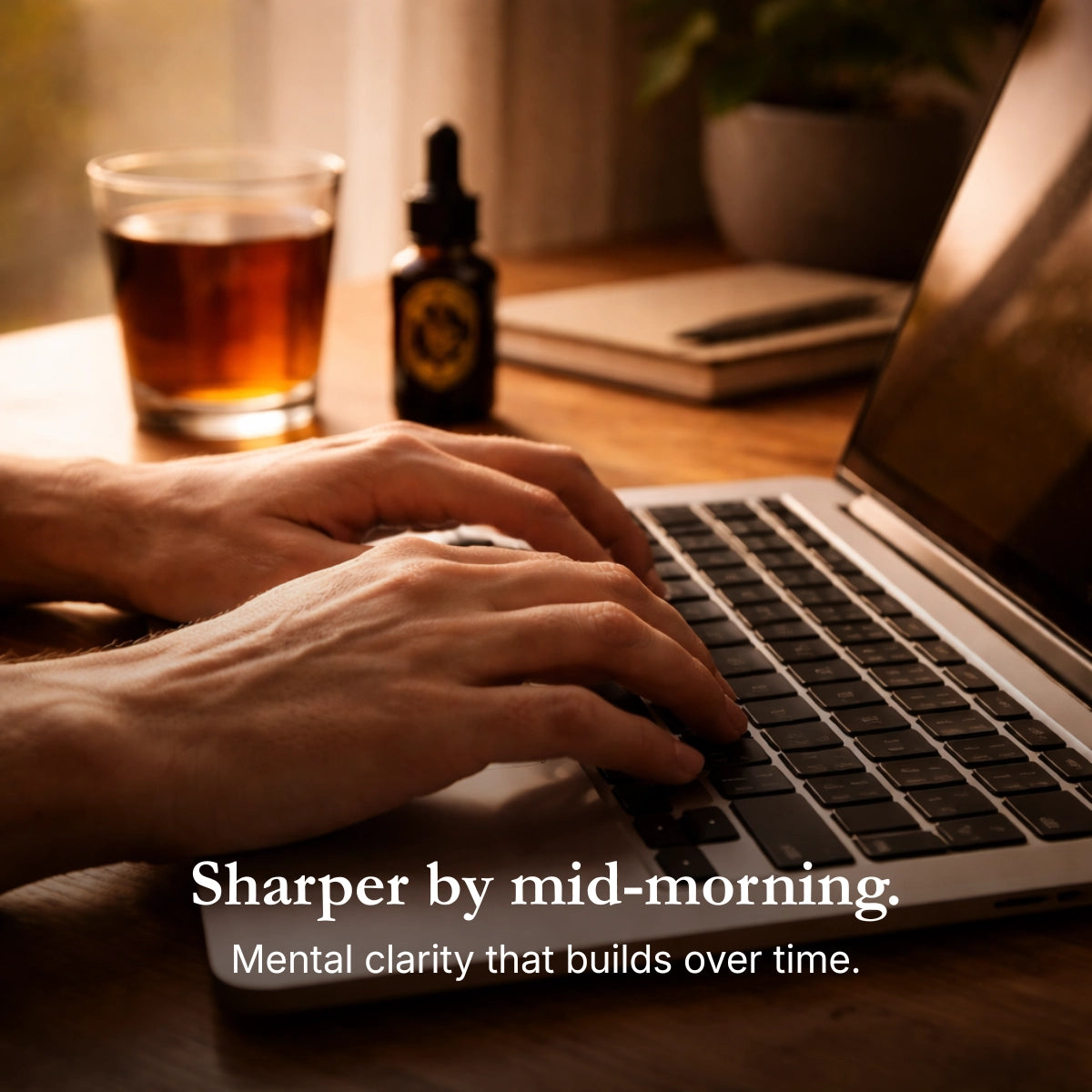 Flesje Shilajit I Shilajit Brothers